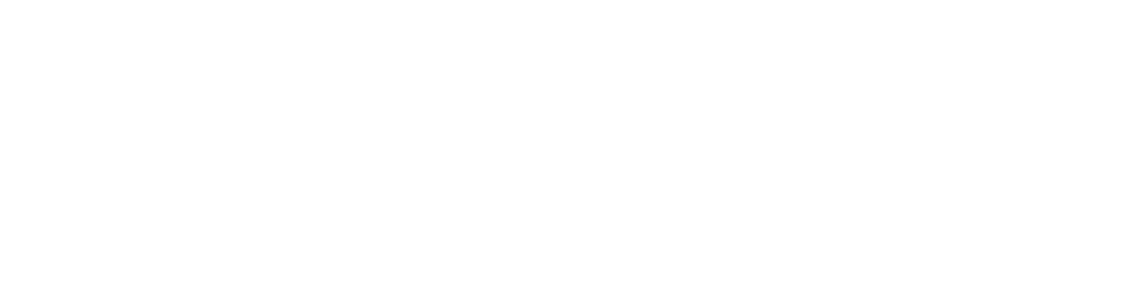 monis boutique logo.webp